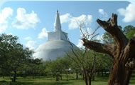 Sacred City of Anuradhapura