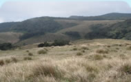 Horton Plains