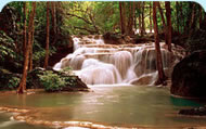 Sinharaja Tropical Rain Forest